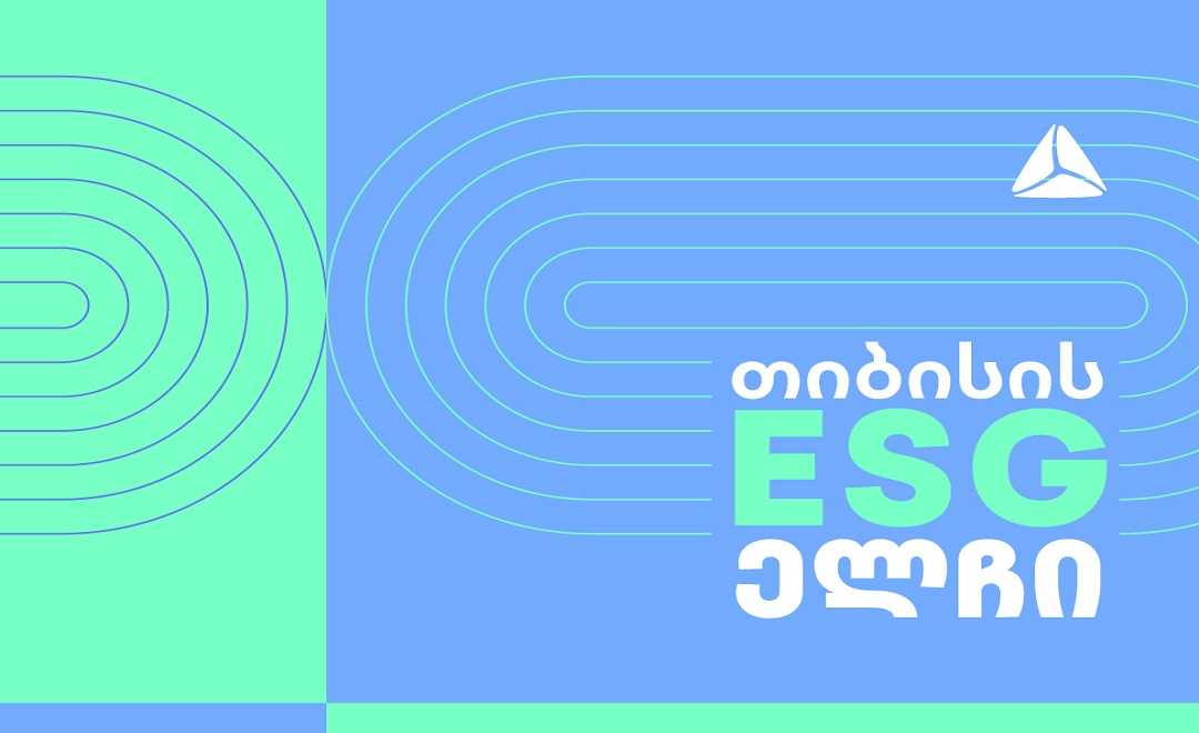 თიბისი  ინოვაციურ პროექტს - ESG ელჩს წყებს