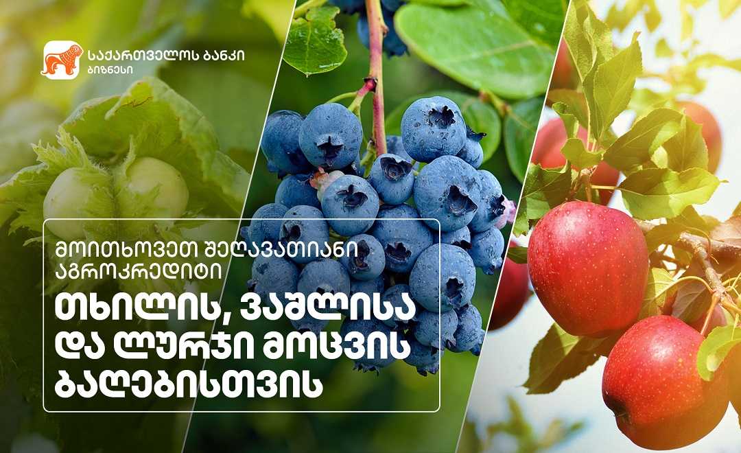 საქართველოს ბანკმა მრავალწლიანი კულტურების დასაფინანსებლად ახალი აგრო  პროდუქტი შექმნა