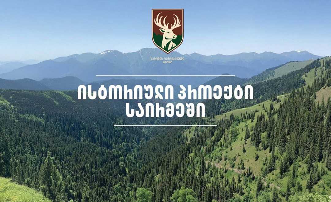 მალე საირმის ტყეს კეთილშობილი კავკასიური ირემი დაუბრუნდება - „საირმეს რეკრეაციული ფერმის“ სამუშაოები უკვე დაწყებულია 