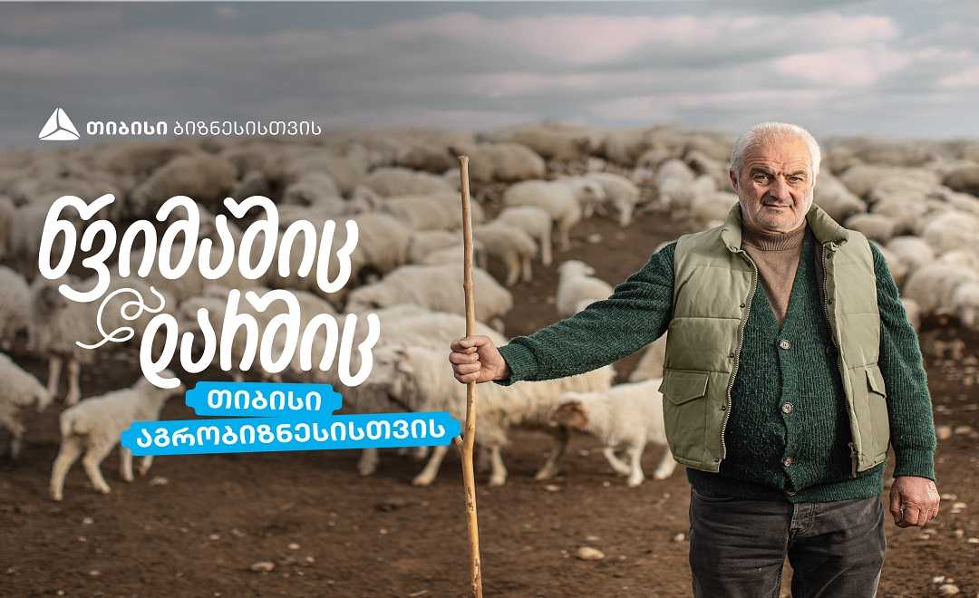 თიბისი აგრობიზნესისთვის - ჯუნო ჩიბურდანიძის ცხვრის ფარა- როგორ იქცა ოჯახური ტრადიცია წარმატებულ ფერმად