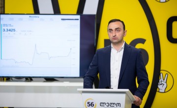 უნდა დადგინდეს სავალუტო დერეფანი და შემუშავდეს სესხების რეფინანსირების ახალი სქემა - გიგლა მიქაუტაძე.