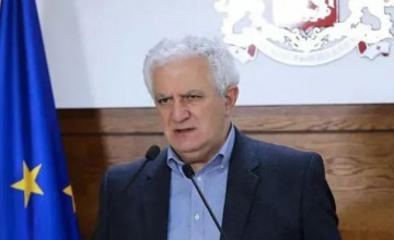 "ქვეყანაში ექიმების დეფიციტი არ არის. მათი რაოდენობა 31 ათასამდეა"