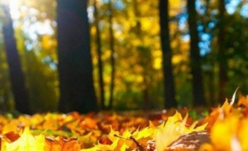 9-10 ნოემბერს თბილისში უნალექო ამინდი იქნება