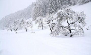 საქართველოში თოვლი და ქარბუქია მოსალოდნელი