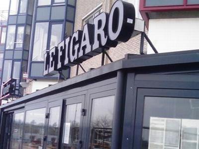 "Le Figaro" -  „საქართველოს ახალი ხელისუფლების მომრავლებული  გადაცდომები“