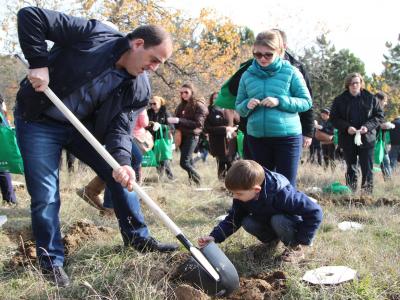 „ტყის კვირეულმა“  სტარტი 15 ნოემბერს წავკისში აიღო