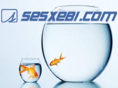 sesxebi.com - სწრაფი ონლაინ სესხების შედარება მარტივია