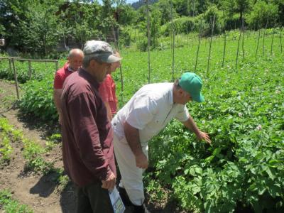 თიბისი ბანკი სასოფლო სამეურნეო კოოპერატივებს სესხებით დააფინანსებს