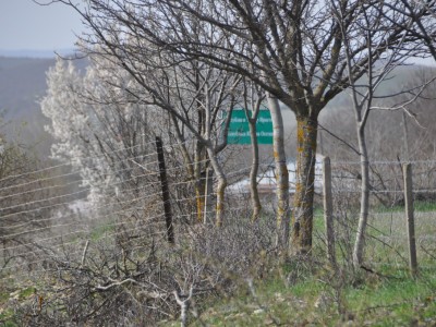 ე.წ. საზღვარი საოკუპაციო რეჟიმმა კიდევ სამ ქართულ სოფელზე მონიშნა