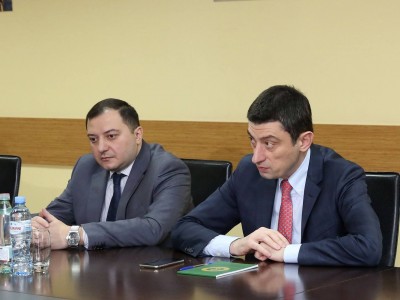 სასაზღვრო პოლიციის ხელმძღვანელად თემურ კეკელიძე დაინიშნა