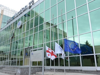 აუქციონზე გატანილი ხე 20 020 ლარად გაიყიდა