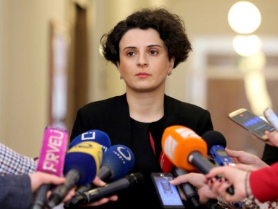 ნათია მეზვრიშვილი: არ შეიძლება სამართლდამცავი ორგანოების დისკრედიტაცია
