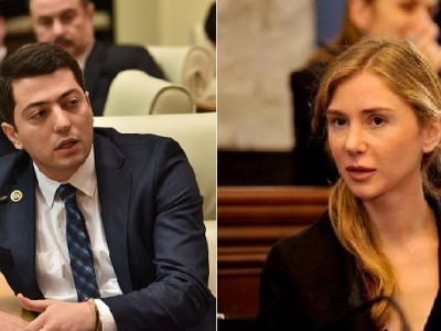 დენდროლოგიური პარკის თემაზე პარლამენტში დაპირისპირება მოხდა