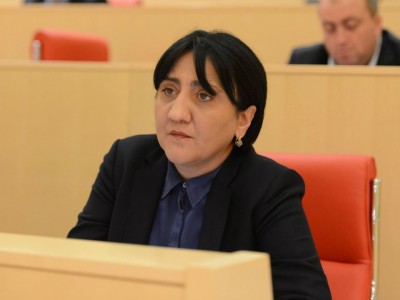 ირმა ინაშვილი: დროებით მთავრობას ჩვენ ნდობას ვერ გამოვუცხადებთ