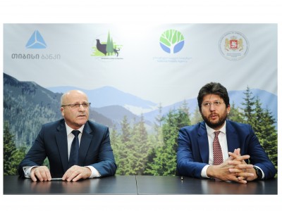 თიბისი ბანკის ინიციატივით ბორჯომის ტყის აღდგენის პროცესი იწყება