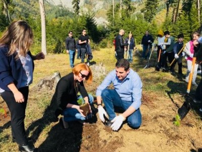 ბორჯომის პლატოზე საშემოდგომო დარგვები დაიწყო